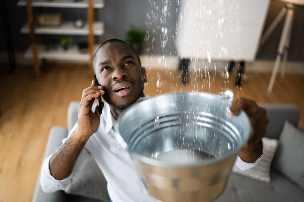 Best Mold removal after water damage  in Park City, TN