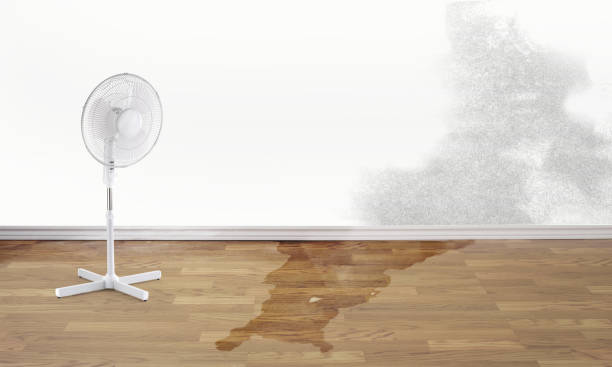 Best Flooded house restoration  in Park City, TN