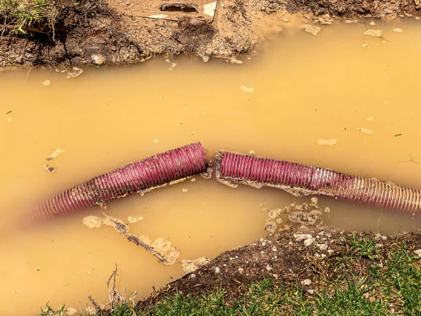 Water damage restoration experts in Park City, TN